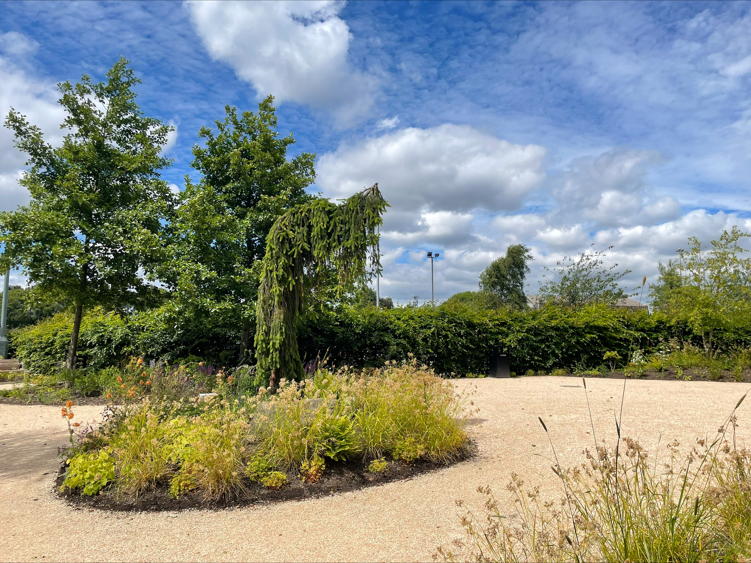 Royal Hospital for Children strikes gold with Chelsea Flower Show award-winning garden