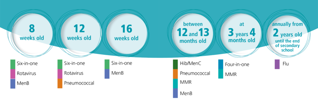 Information graphic showing the childhood immunisation timeline.