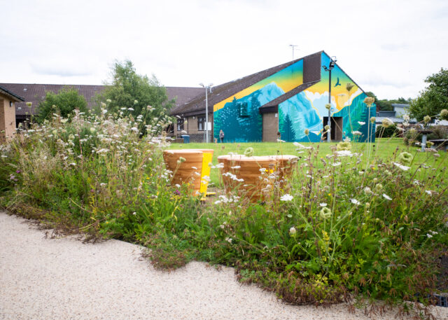 Design in the Dale Project: Enhancing Patient Experience through Art and Green Spaces, Leverndale Hospital